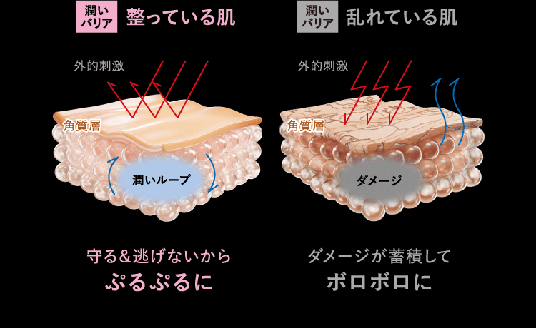 肌の潤いバリアを整えるイメージ